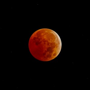 The coppery totality of the November 8, 2022 total lunar eclipse. The disk is darkest around the lower left, and lightest in the upper right-hand areas. Photo by James Guilford.